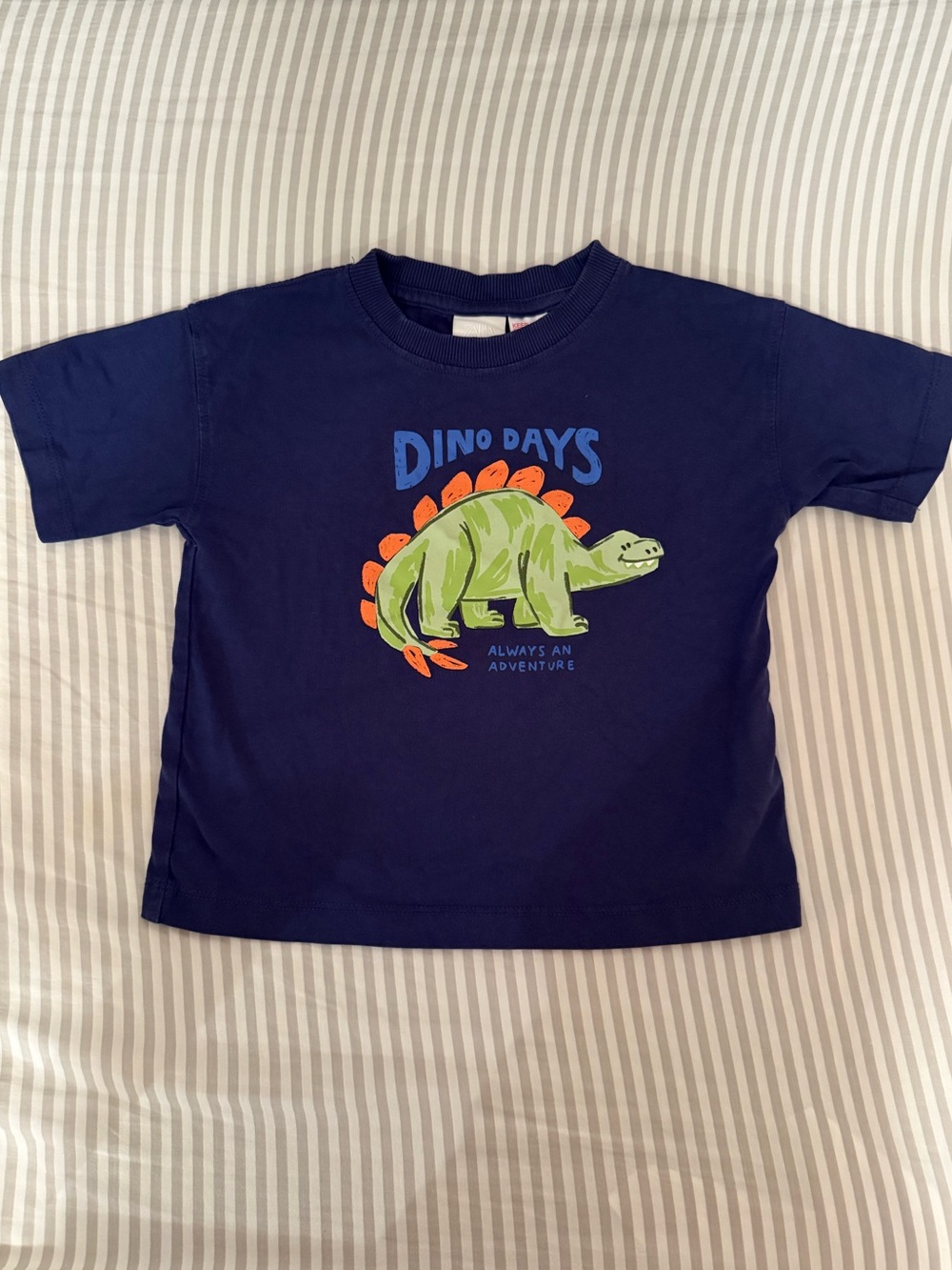 Zara Toddler Boy Navy Dino Graphic Tee